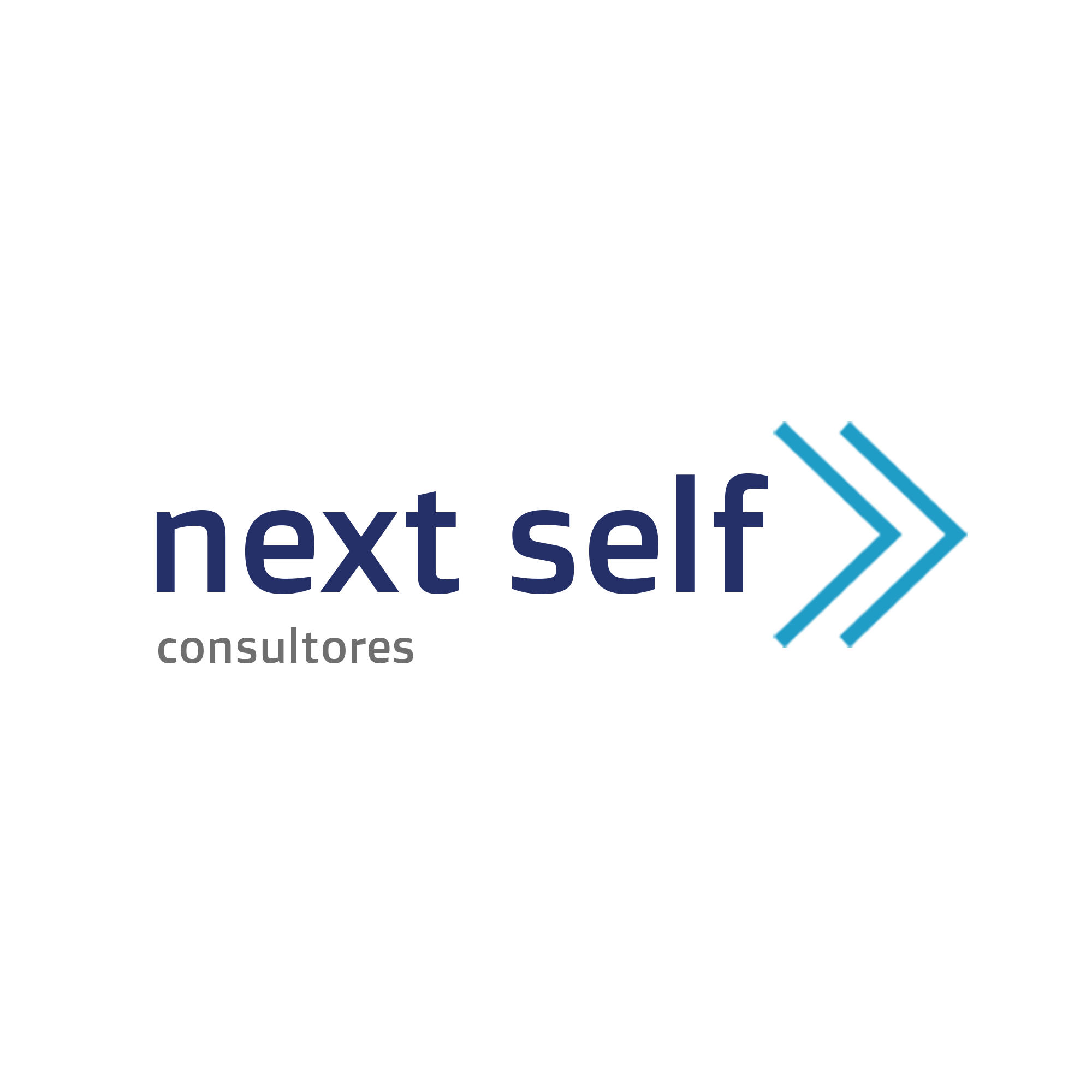 Next Self Consultores
